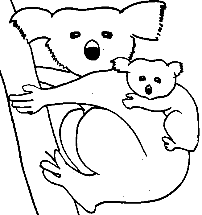 Download Koala Coloring Pages - Kidsuki