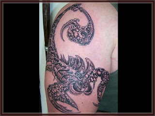 Zodiak Tattoos Gallery - Scorpio Tattoo