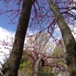 View album