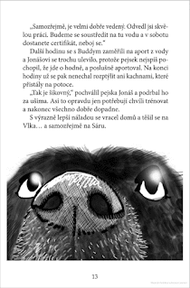 Můj přítel vlk (Oldřiška Ciprová, ilustrace: Lenka Němcová, nakladatelství Grada – Bambook), dětská literatura