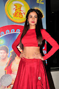 Sonal Chauhan Sizzling at Size Zero Premier-thumbnail-4