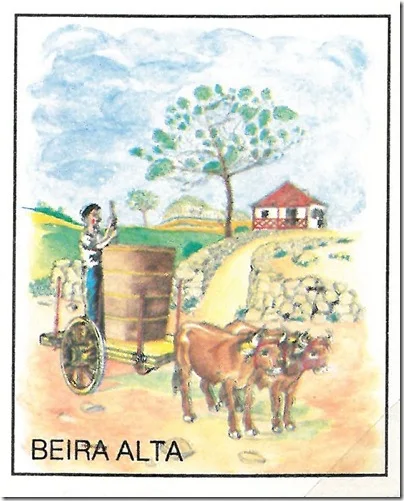 carros_tradicionais_beira_alta_06