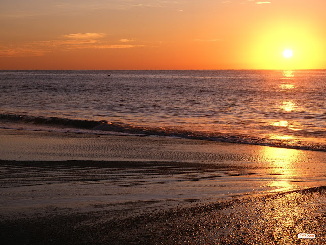 Amaneceres en la Playa