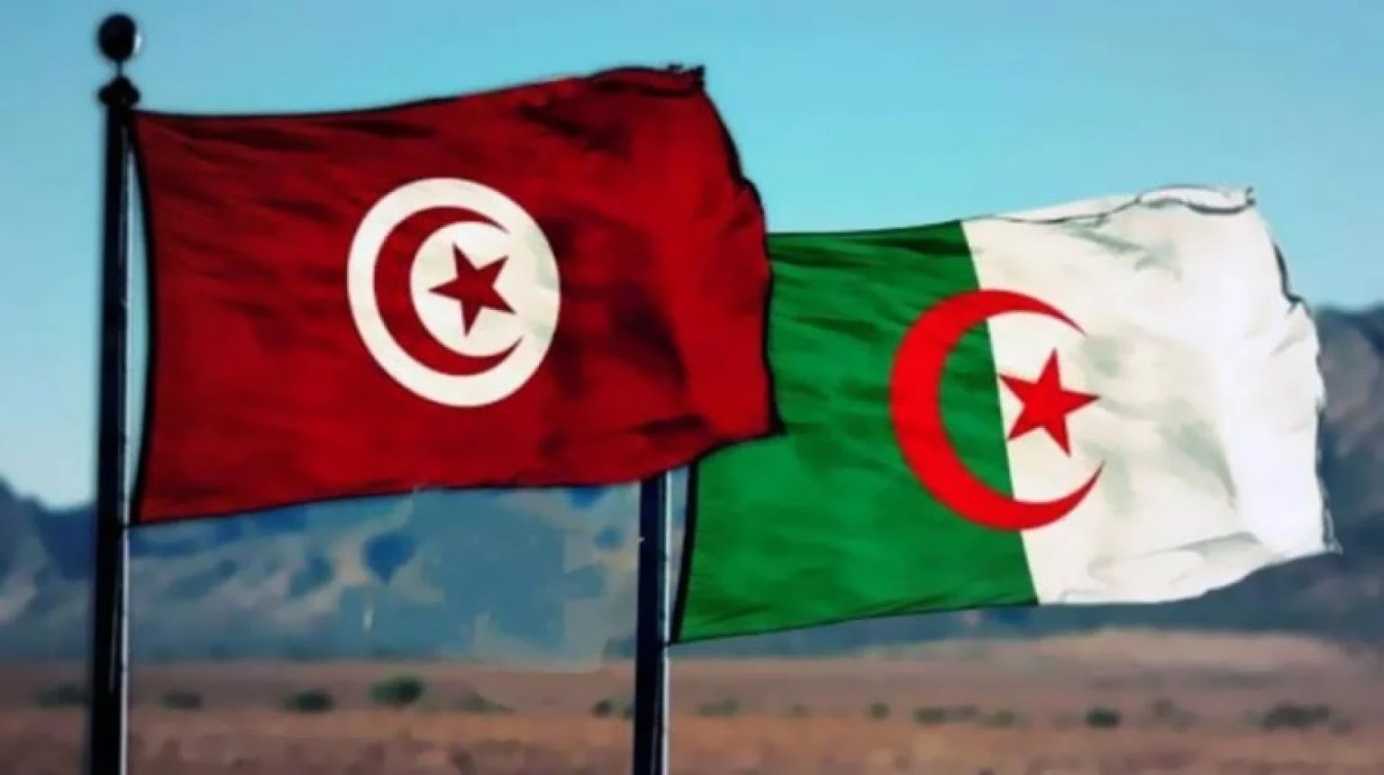 علما تونس والجزائر