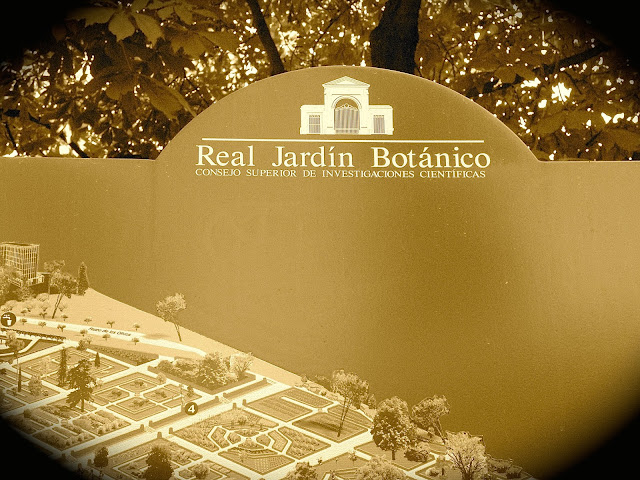 Madrid-Real-Jardin-Botànico