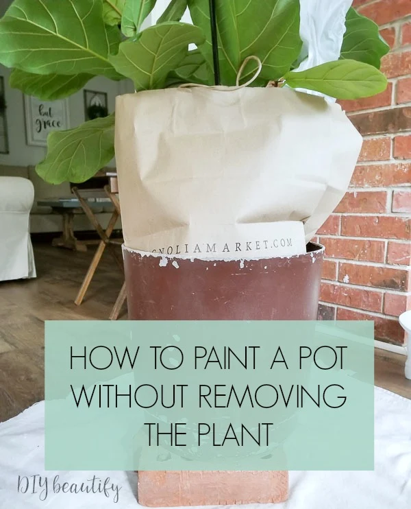 paper bag trick for painting a pot with an established plant