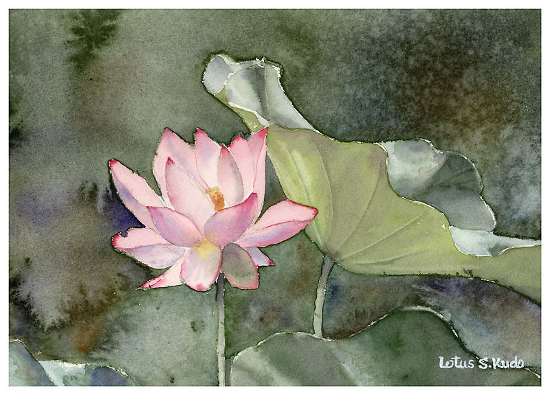 Lotus Again 再びハスの花 日々是水彩くどうさとし Watercolor