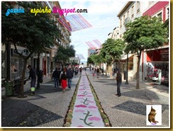 O desenvolvimento das Ruas de Espinho009Gazeta de Espinho
