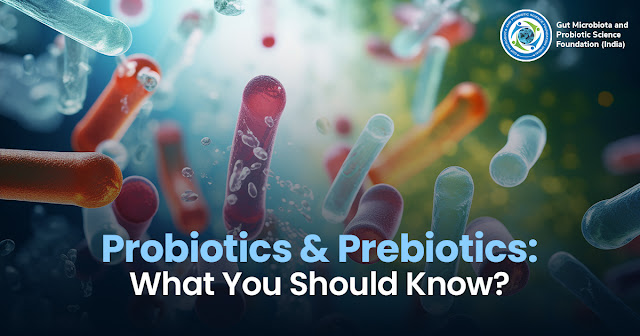 Probiotics And Prebiotics: What You Should Know?