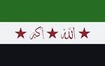 I favor the Syrian Revolution