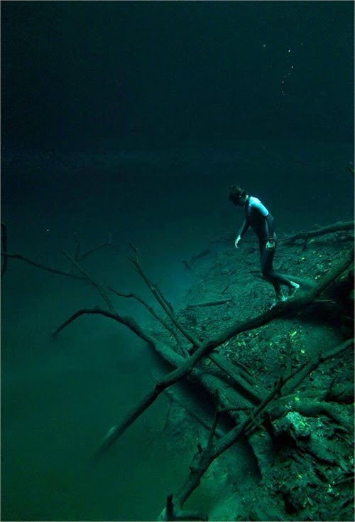 Cenote Angelita Mystical Underwater Mexico