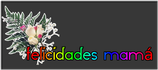 felicidades mama (25)