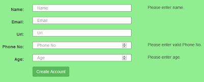 AngularValidation-Required