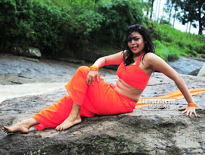 ACTRESS SAIRA BANU PICTURES Telugu Actress Hot Gallery 
