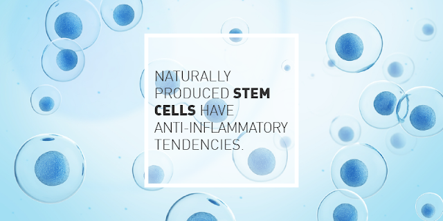 Human Stem Cells Part 3: How They Are Used in Skin Care Products and Where to Find Products with Stem Cells in the Ingredients