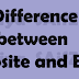 What are the Differences between Website and Blog?