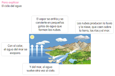 http://www.primerodecarlos.com/SEGUNDO_PRIMARIA/enero/tema2/actividades/cono/ciclo_agua_santillana/ciclo_del_agua_contenido.swf
