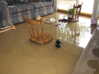 Carpet Flood Damage