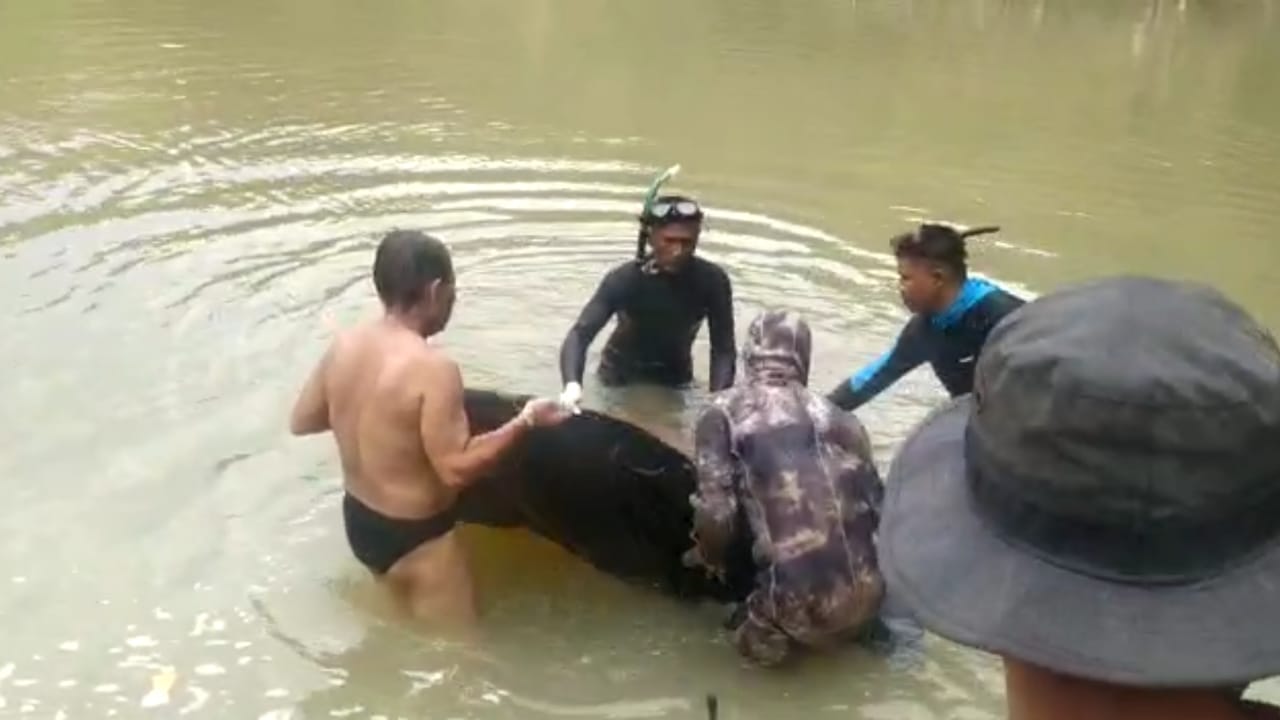 Satu Korban Tenggelam di Sungai Cikarang, Objek Wisata Leuwi Kenit Akhirnya Ditemukan