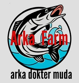 Daftar harga bibit ikan gabus makan pelet 2019