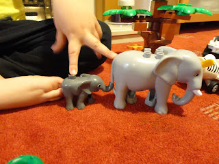 The Elephants marched two by two