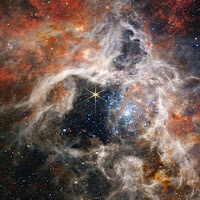 Teleskop James Webb rakam imej Nebula Tarantula terletak sejauh 161,000 tahun cahaya dari bumi