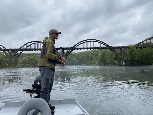 Fly fishing the White River in Cotter Arkansas