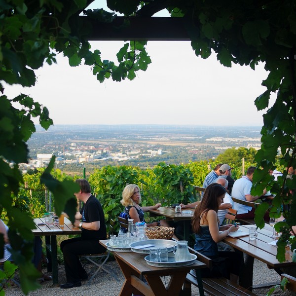 vienne döbling nussberg vignes heuriger sirbu