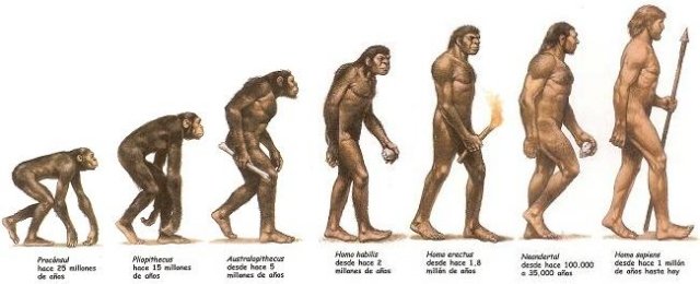 Human evolution and emotion