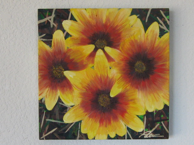 Black eyed Susan's