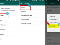 Cara Hilangkan Status Online Di Wa