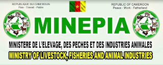 Avis à Manifestation d’Intérêt : Préqualification des Opérateurs désireux d’Investir dans l’Aquaculture