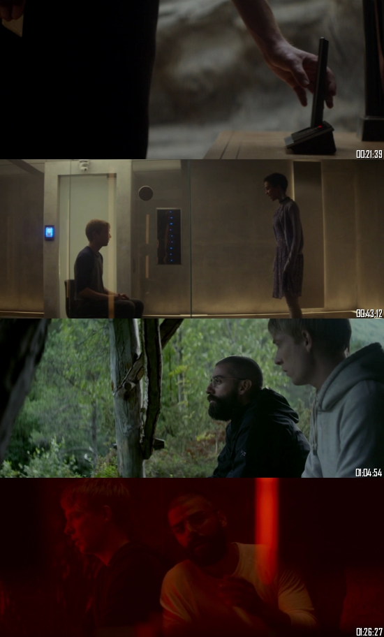 Ex Machina 2014 BRRip 720p 480p Dual Audio Hindi English Full Movie Download