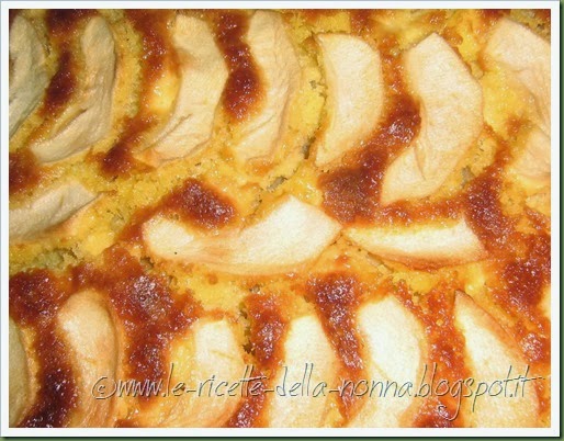 Torta di mele