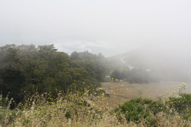 route 1 pacific coast highway fog