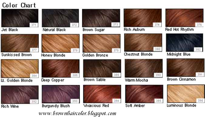 Brown Hair Colour Chart