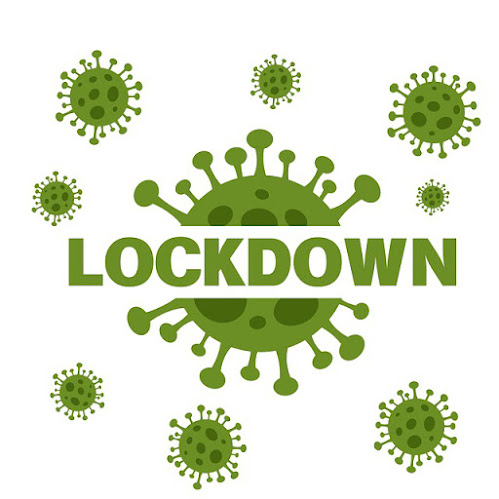 UK Lockdown's Restriction factor of Immigration System in Society