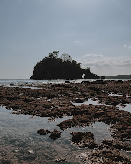 Beira mar com formação rochosa ao fundo