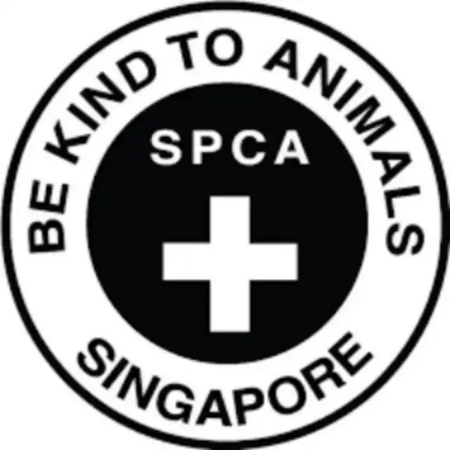 50 Fascinating Facts About the SPCA: Protecting and Promoting Animal Welfare