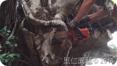 天壽里02_7076