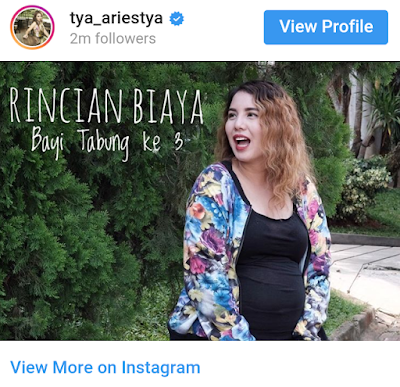 Rincian Biaya Program Bayi Tabung