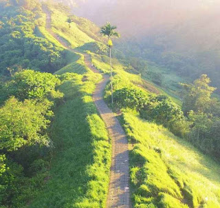 Pesona Bukit Campuhan, Bukit Campuhan Ubud, Pesona Ubud Bali