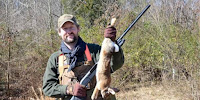 How to Hunt Rabbits