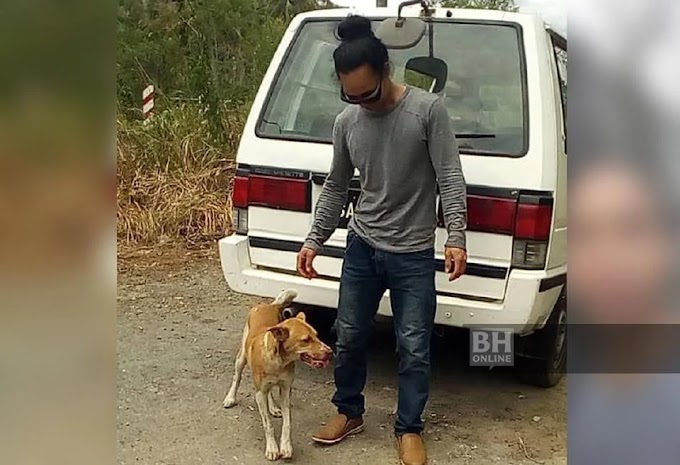 Bimbang cetus jangkitan COVID-19 kepada orang lain, Lelaki jalan kaki ditemani anjing setia dari Kota Kinabalu ke Kota Marudu