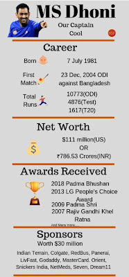 MS Dhoni net worth