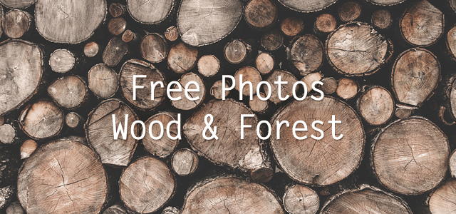 湿った丸太や森の木々を撮影したクールで美しい無料写真素材セット