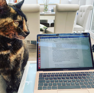 Writer Hannah Gold's tortoiseshell cat sitting next to her open laptop. The Writer's Pet on Hannah Gold and The Last Bear