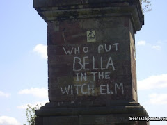 Misteri Graffiti "Who Put Bella In The Witch Elm"