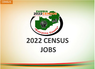 Zambia Census 2022 Amplitude Tests Question and Answers Pdf