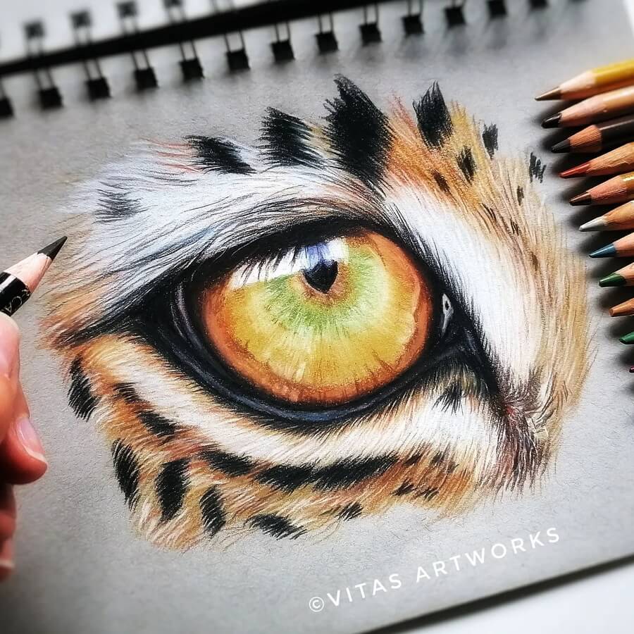 06-Leopard-eye-Animal-Art-Von-Carolin-Behnke-www-designstack-co